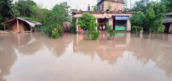 कैलालीका घर बाढीले डुबाउँदा मानिस भाग्न बाध्य